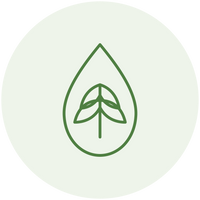 PLANT-BASED INGREDIENTS